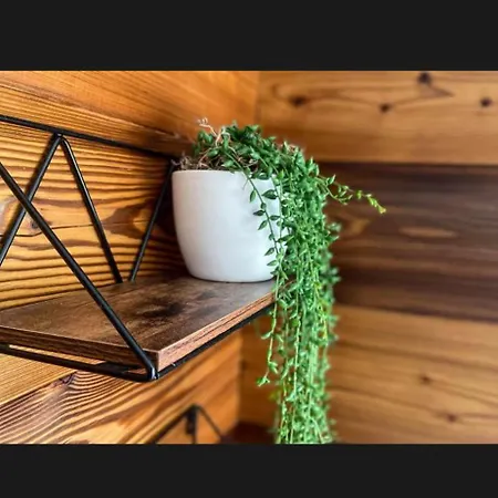 Appartement Cal Gatesques 1